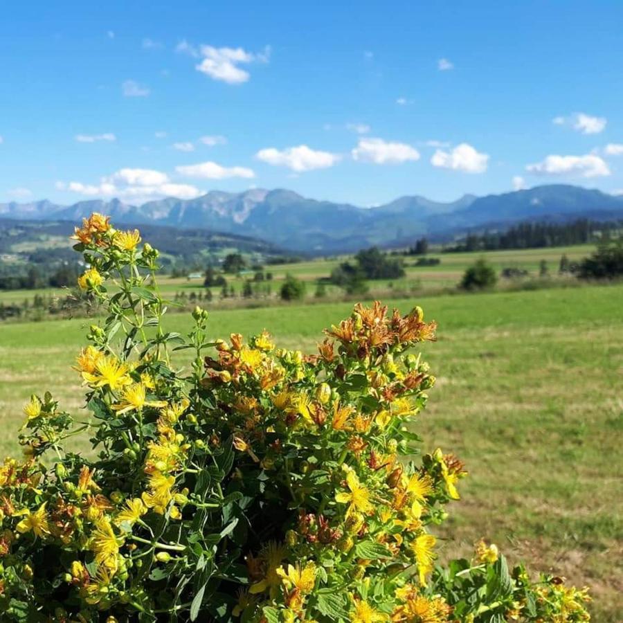 Magurskie Bywanie Witow  Bagian luar foto