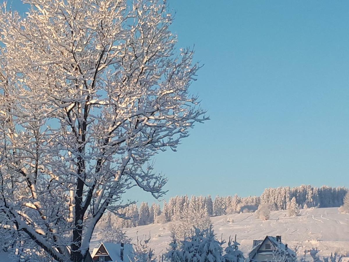 Magurskie Bywanie Witow  Bagian luar foto
